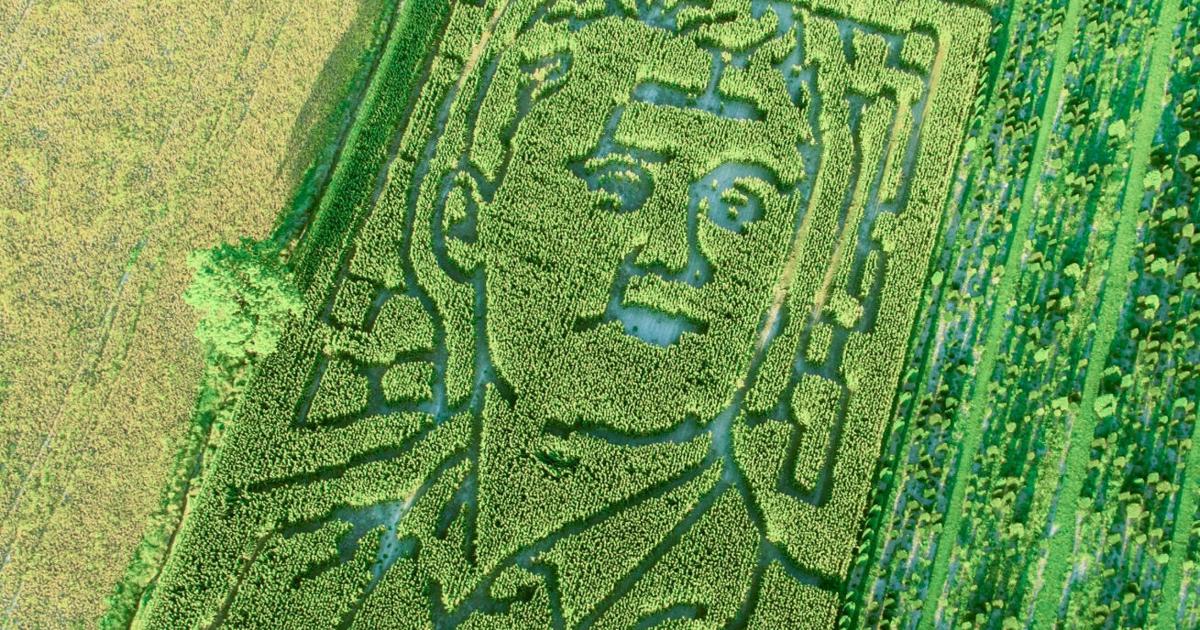 Indiana Farm Honors Charlie Kirk with New Political Corn Maze Design