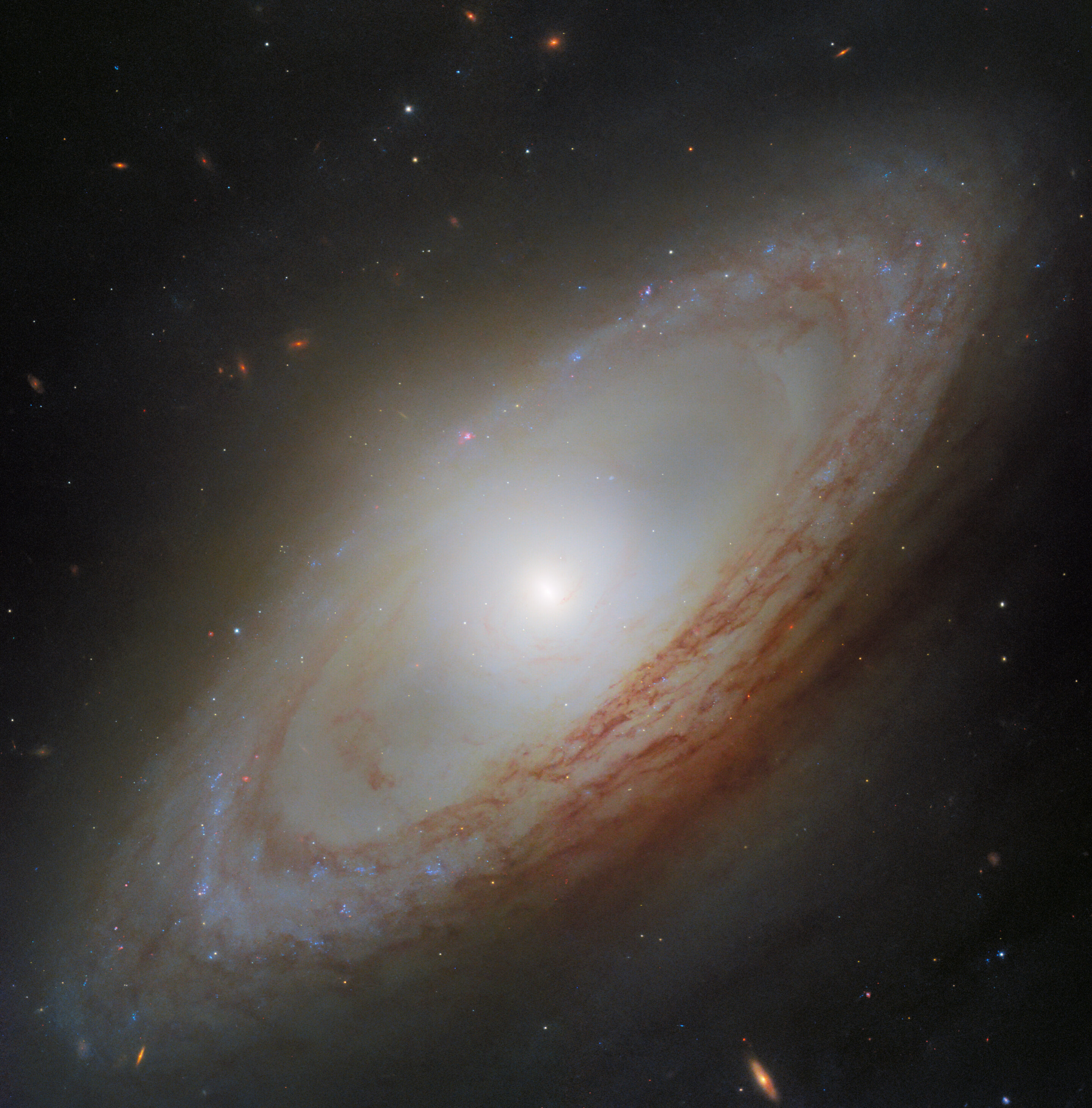 Active Supermassive Black Holes May Actually Promote Star Formation Instead Of Suppressing It