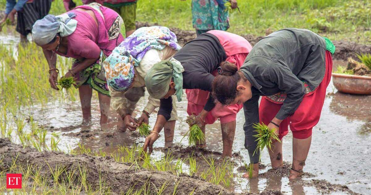 Karnataka and West Bengal Announce Major Financial Relief Packages for Millions of Farmers