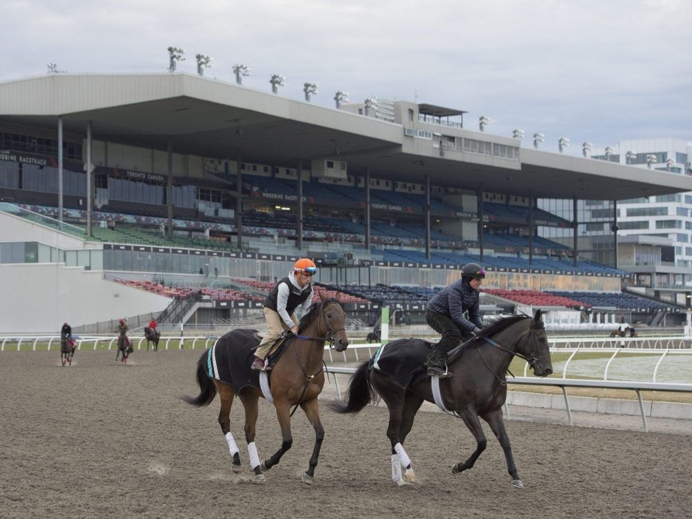 Military Time leads Prince of Wales Stakes field as dominant filly Luster withdraws.