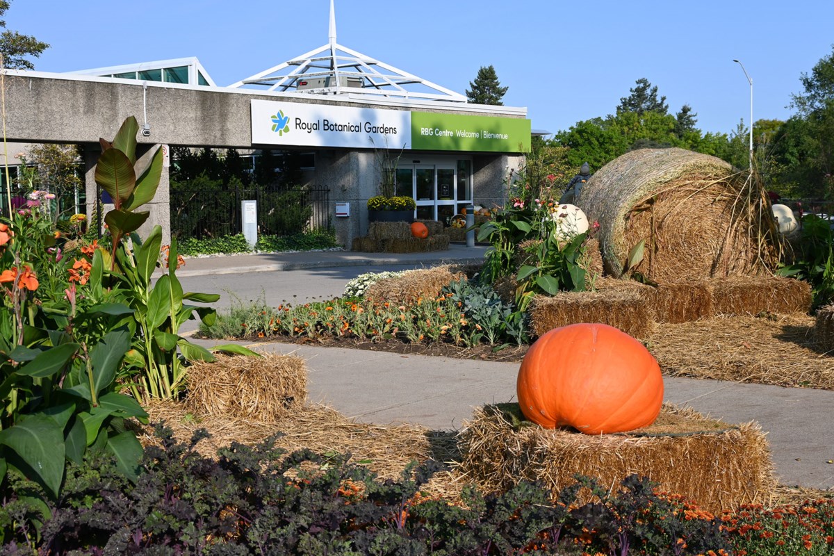 Fall Festivals Launch Across the Country Featuring Corn Mazes and Ticket Giveaways