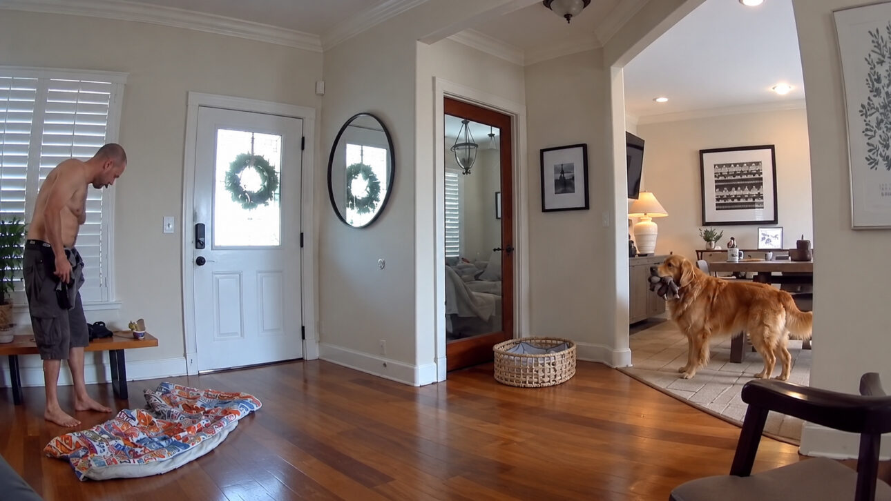 Friendly Golden Retriever Welcomes Alleged Burglar and Police With Toys
