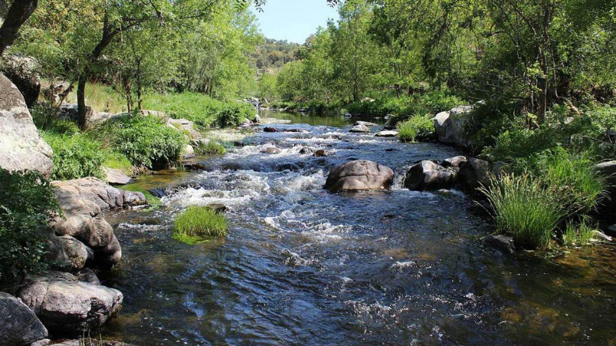 El planeta acumula una década perdiendo sus reservas globales de agua dulce