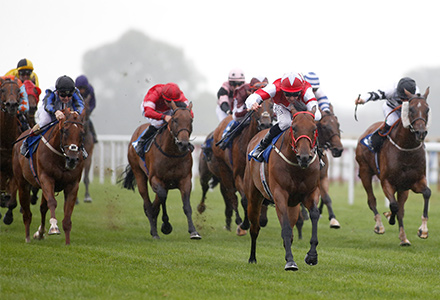 Horse Racing Meets Set Across Three Tracks