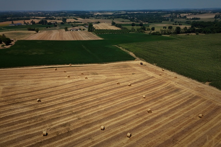France announces new funding initiatives to support struggling agricultural markets and farmers.