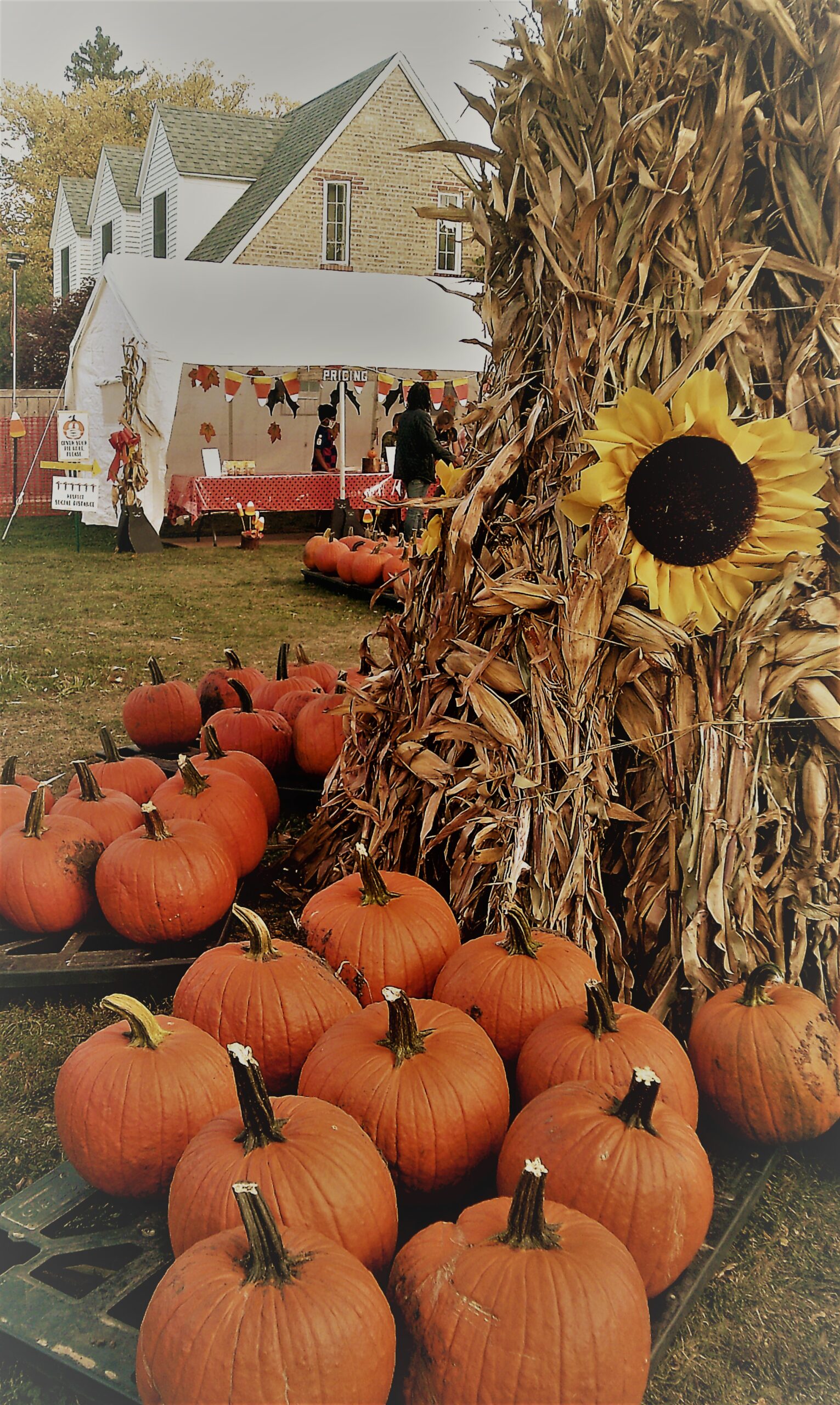 Communities nationwide welcome the autumn season with new pumpkin patches and fall attractions.
