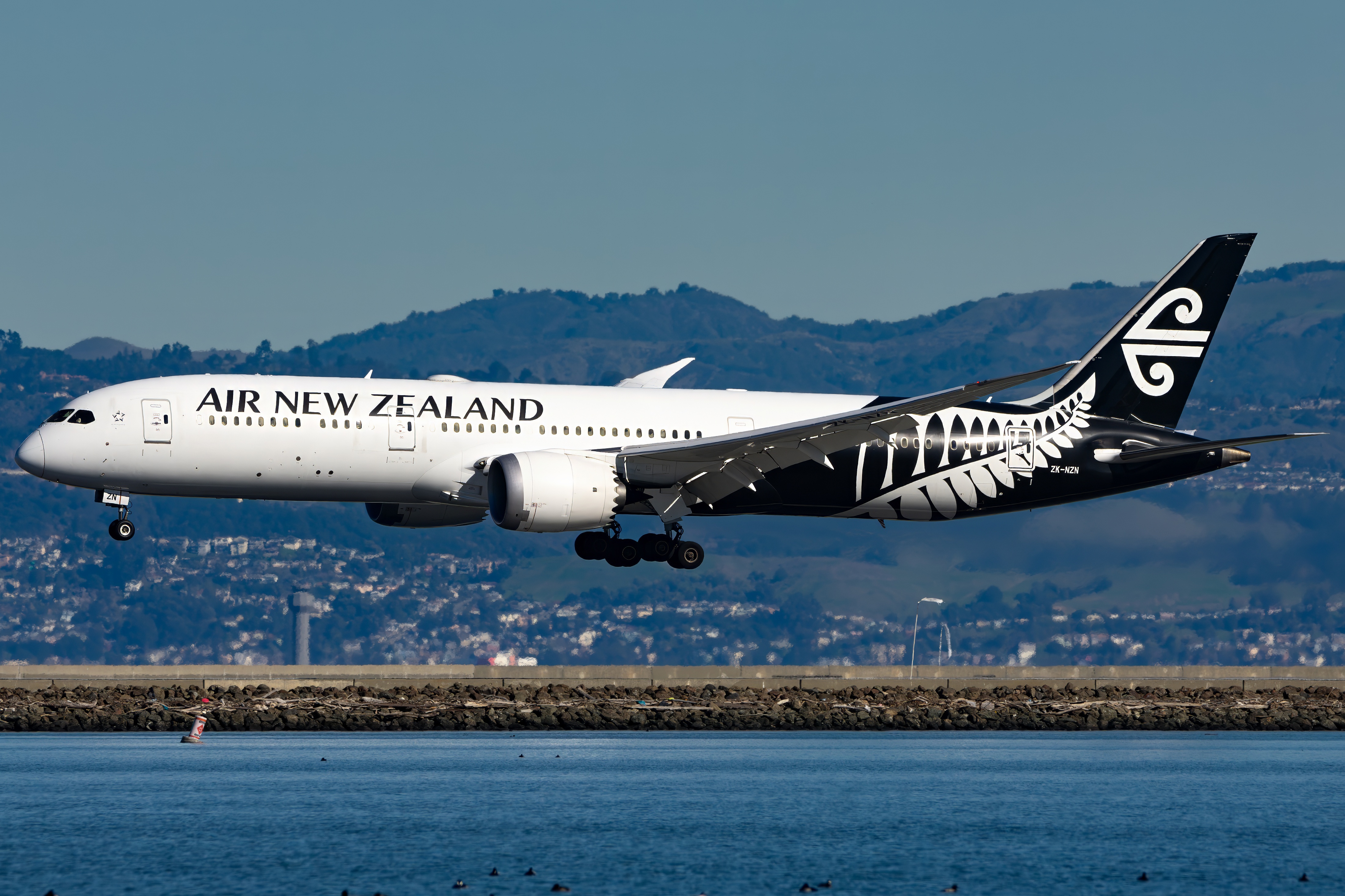 Air New Zealand investigates an alleged off-duty pilot altercation that caused flight disruptions.