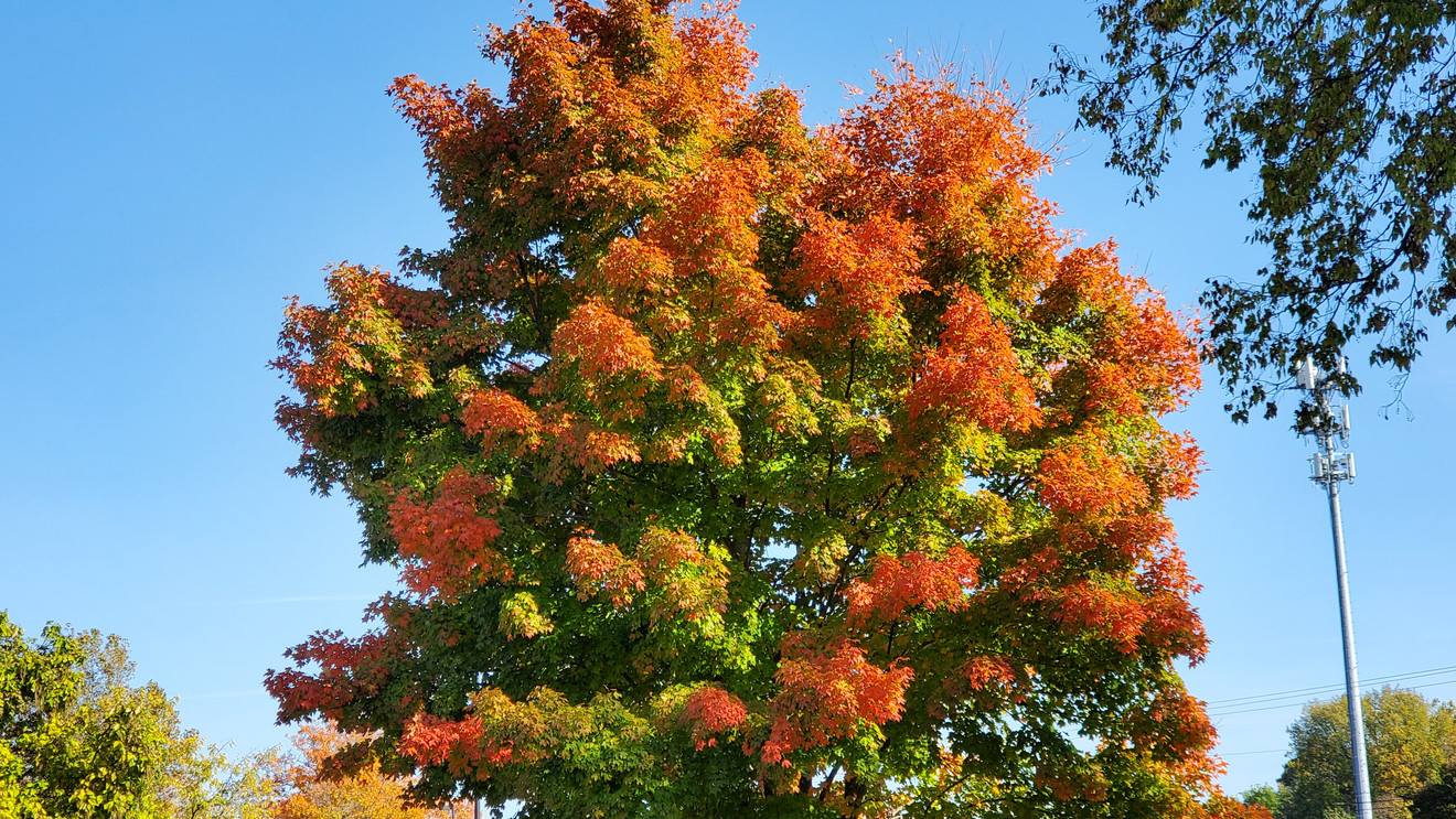 Regional forecasts highlight sharply contrasting weather conditions, bringing heat to the Southwest and high winds to Maine.