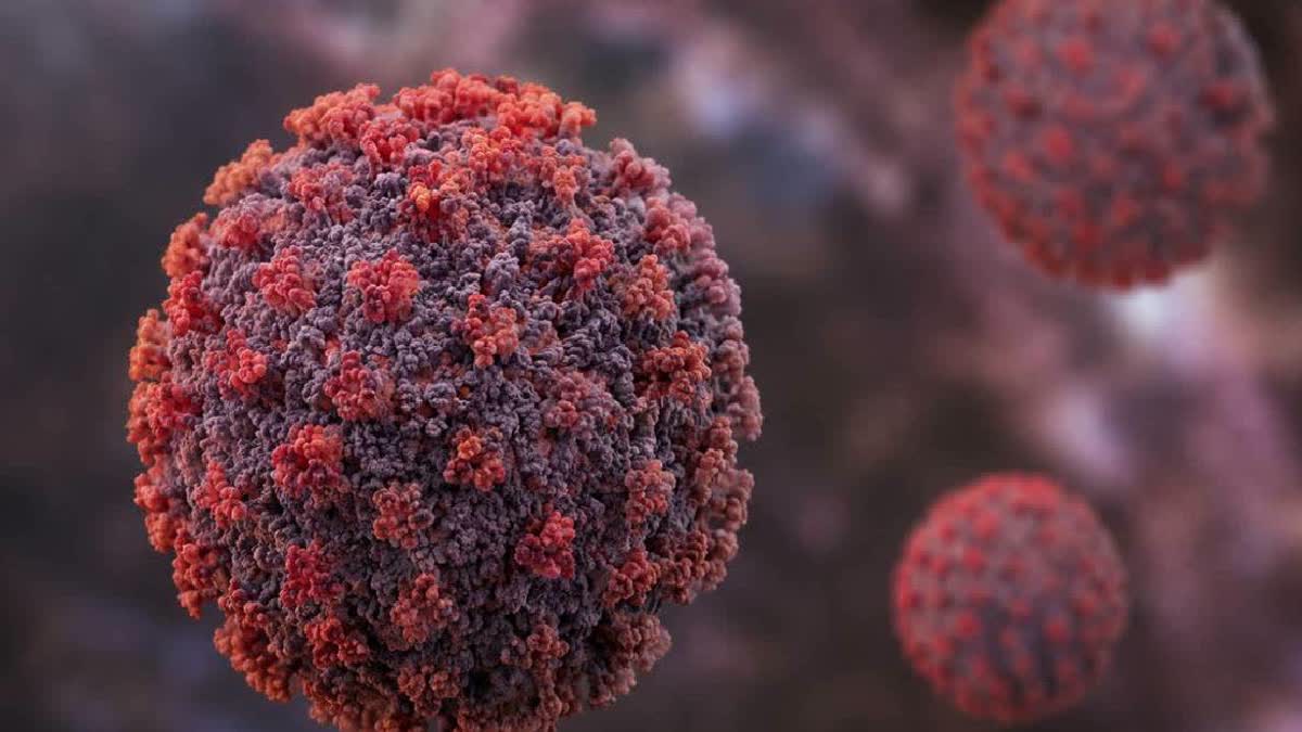 New study suggests viral RNA promotes formation of Parkinson-linked protein clumps.