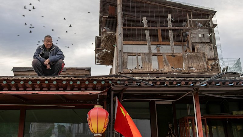 Beijing celebrates National Day with the traditional release of ten thousand homing pigeons.