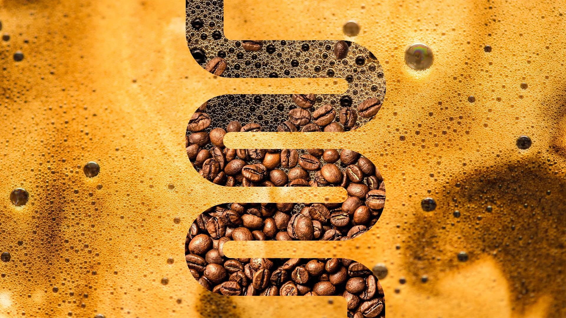 New Small Study Links Coffee Consumption to Gut Microbes and Mood Changes