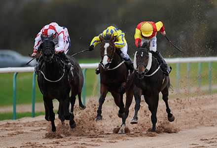 Comprehensive horse racing tips span UK, Ireland, and Australia ahead of major weekend action