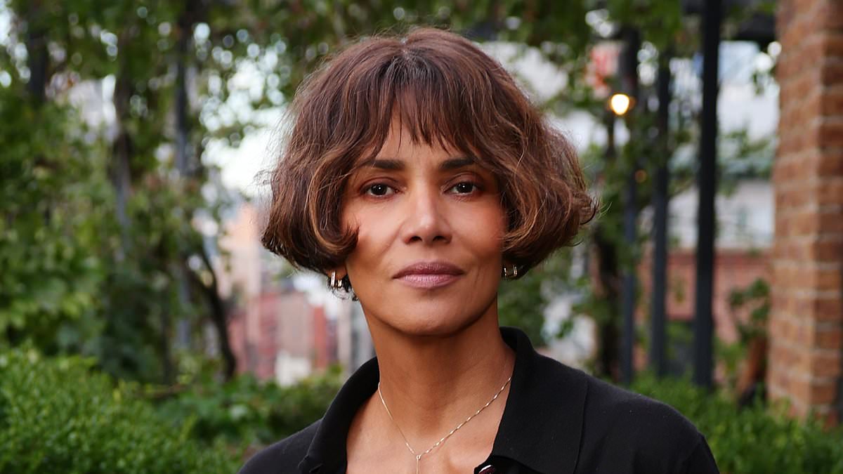 Halle Berry Seeks to Restore 50/50 Custody Over Son's Behavioral Concerns