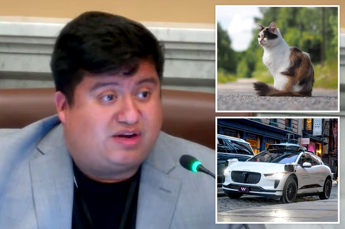 Minneapolis councilman faces intense backlash after claiming self-driving cars are harming pets.