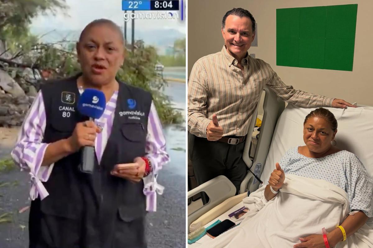 Mexico TV Journalist and Cameraman Struck by SUV During Live Broadcast