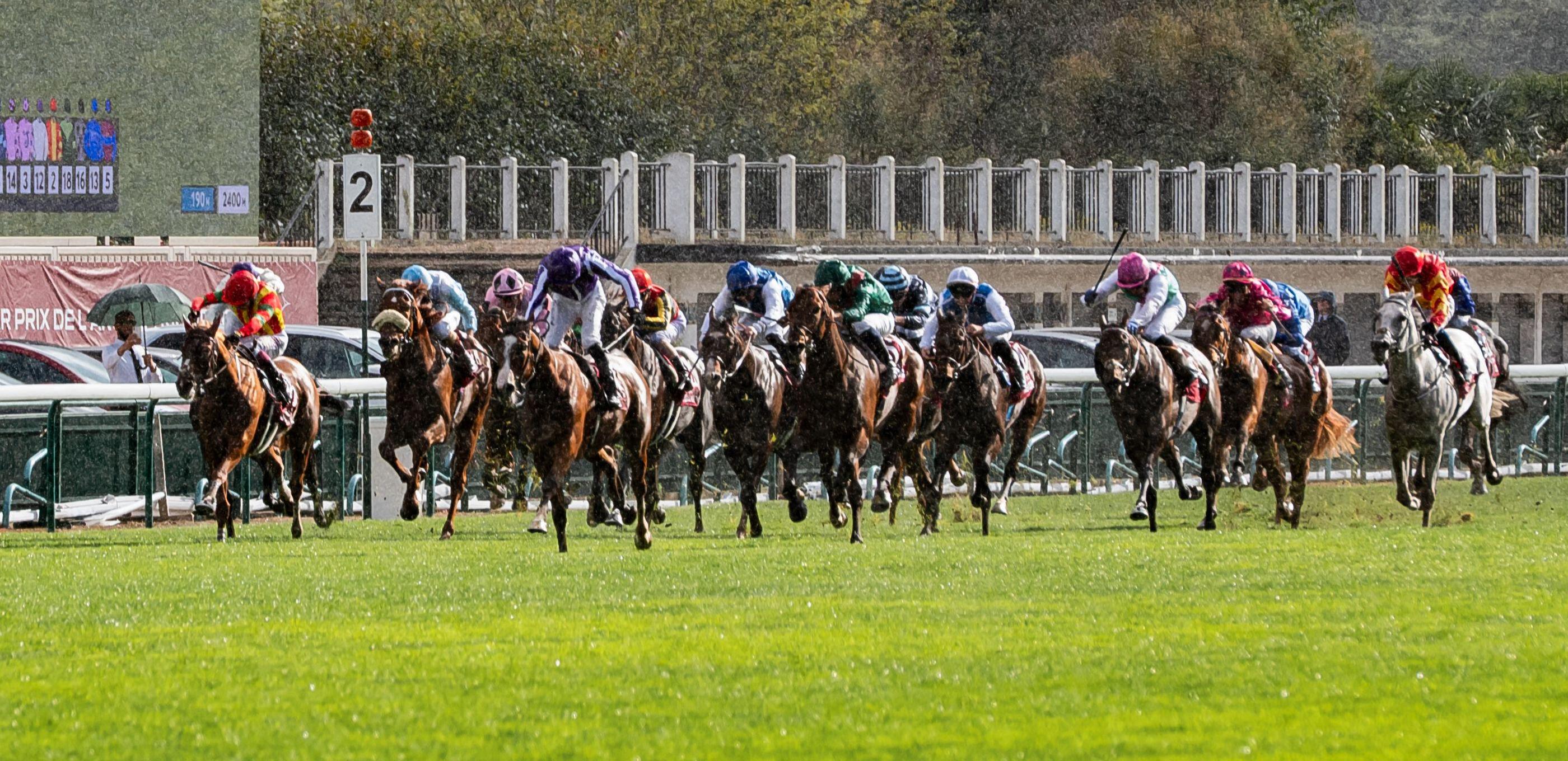 Sixteen Elite Horses Prepare for Europe’s Prestigious Prix de l’Arc de Triomphe