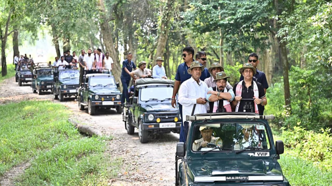 Assam wildlife parks begin phased reopening for the new tourism season this October.
