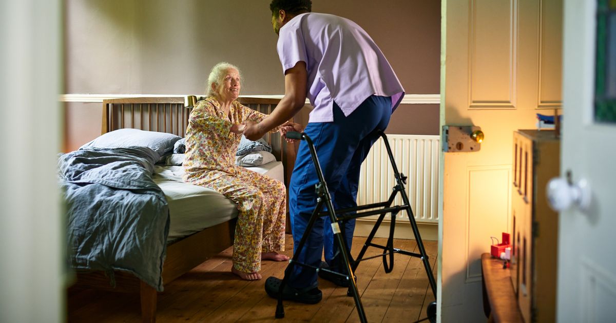 Birdwatching and intensive therapy programs offer new paths for stroke recovery.