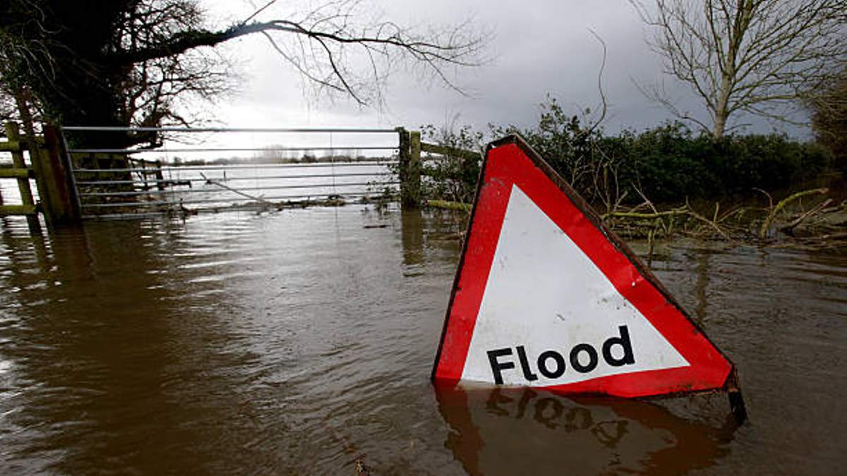 New Mexico Floods Impact Tech Campus While Texas and Florida Face Heavy Rain Risks