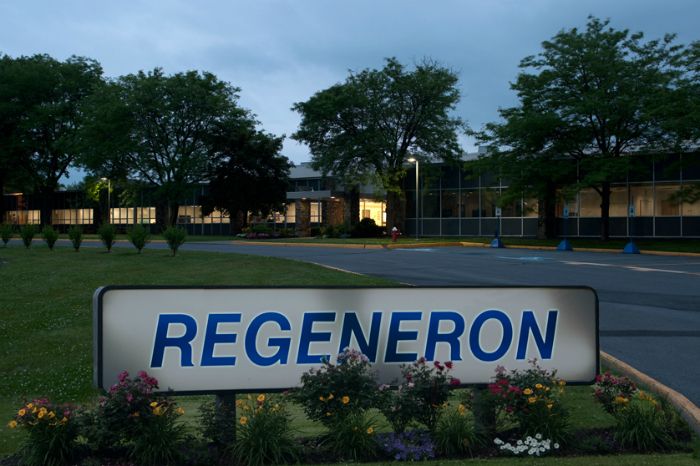 Regeneron Trial Finds Experimental Drug Halves Muscle Loss During Weight Loss