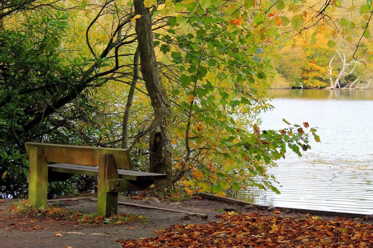 Discover Tranquil U.S. Parks Featuring Scenic Lakes, Wetlands, and Trails