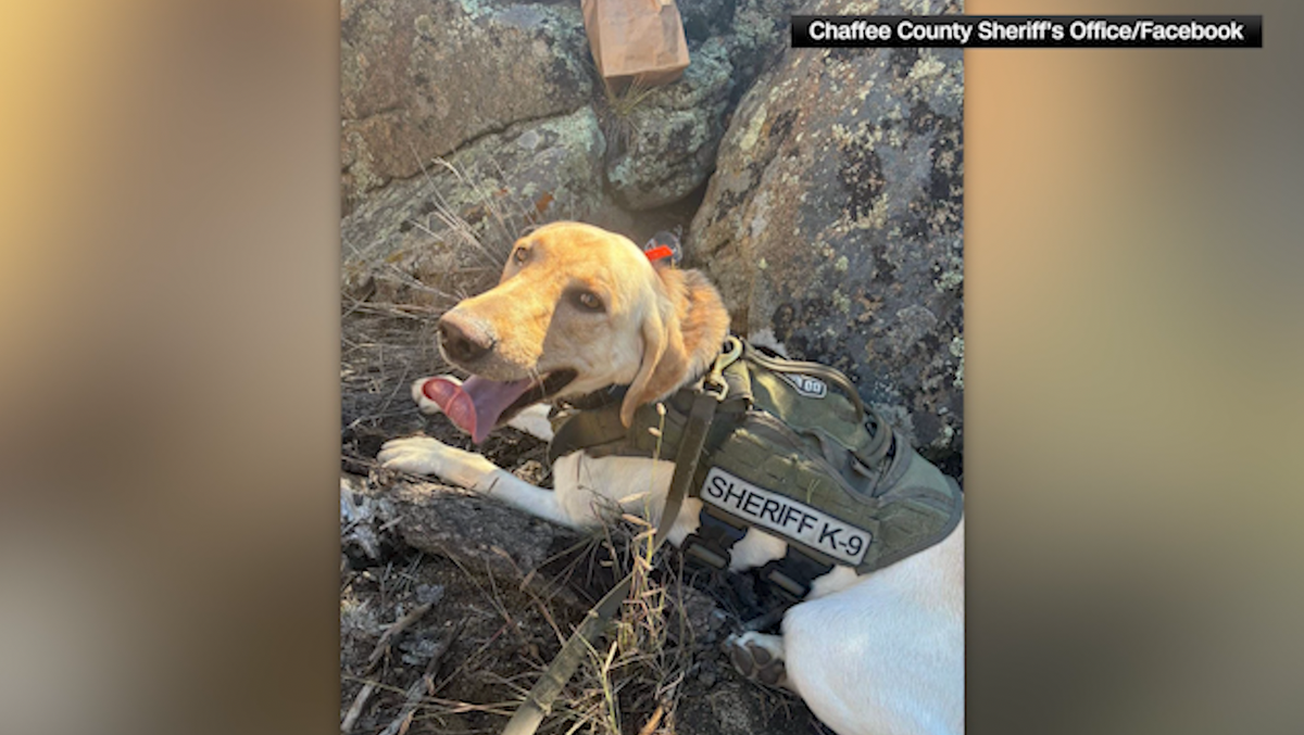 Hero K-9 and Rescue Teams Locate Three Missing Children in Colorado