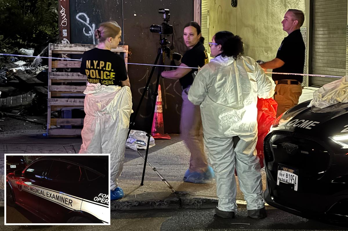 Unidentified charred corpse discovered in vacant Queens lot as police investigate cause of death