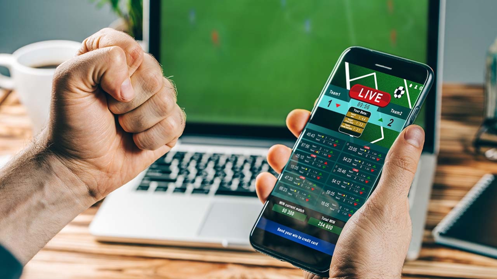 New Review Guide Details Online Casino Platforms, Game Rules and Betting Strategies