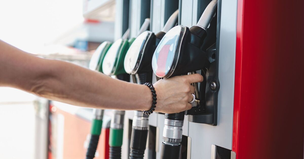 G7 nations commit to releasing oil reserves, causing diesel prices to plummet across Europe.