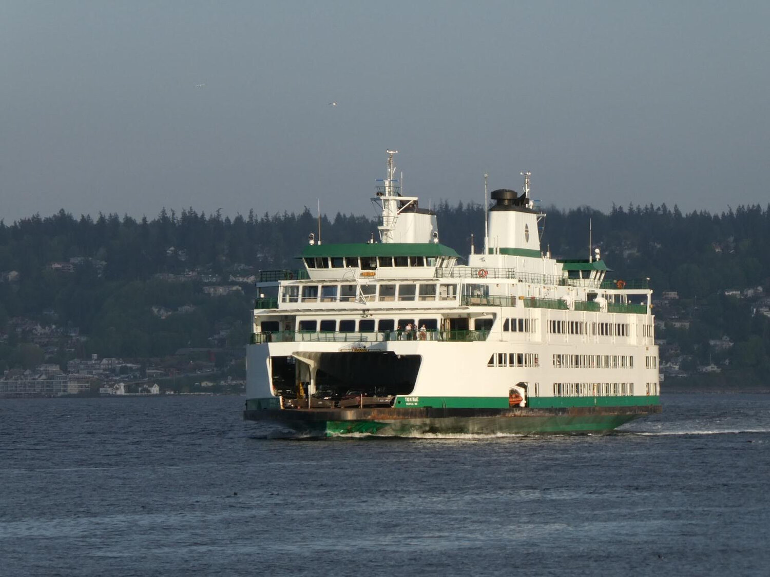 Crew Callouts Leave Thirteen Washington Ferries Out of Service After Staff Decline Shifts