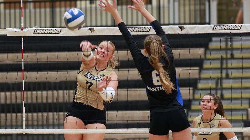 College Volleyball Teams Secure Sweeps and Extend Impressive Conference Winning Streaks