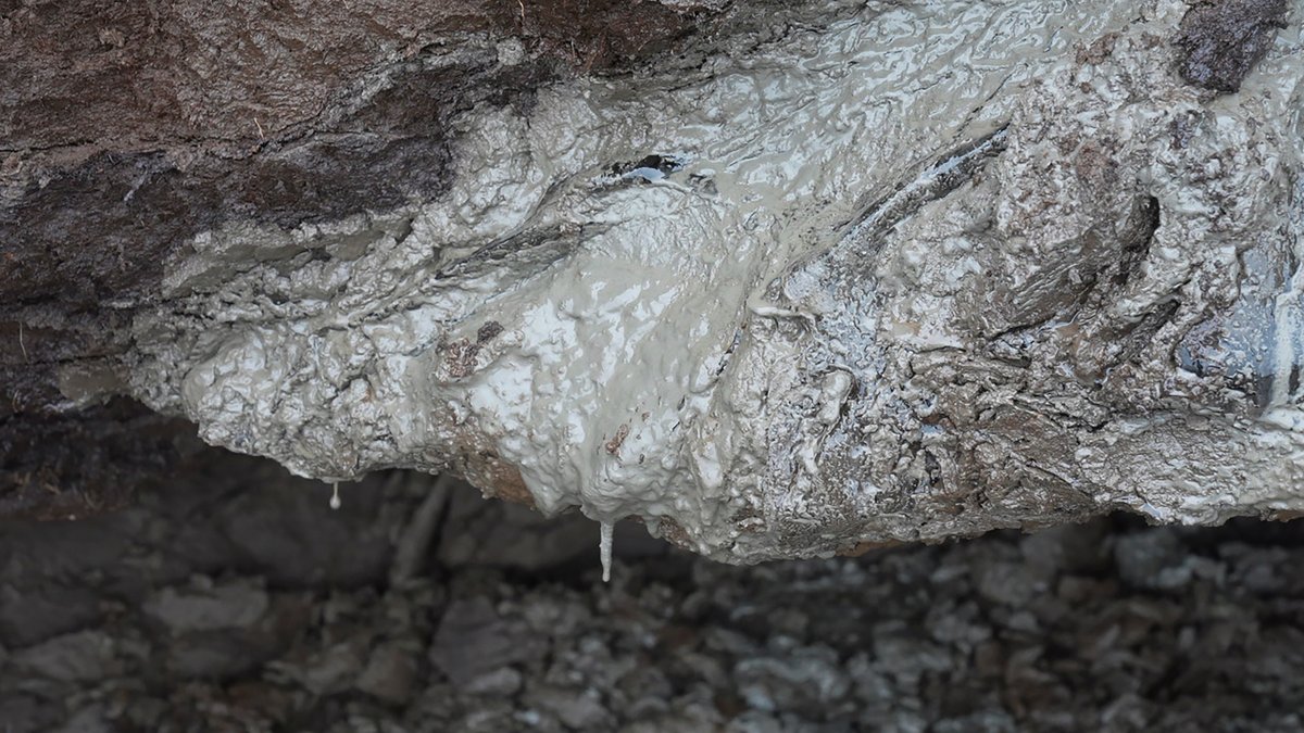 Thawing Arctic Permafrost Releases Trapped Gases and Accelerates Global Warming