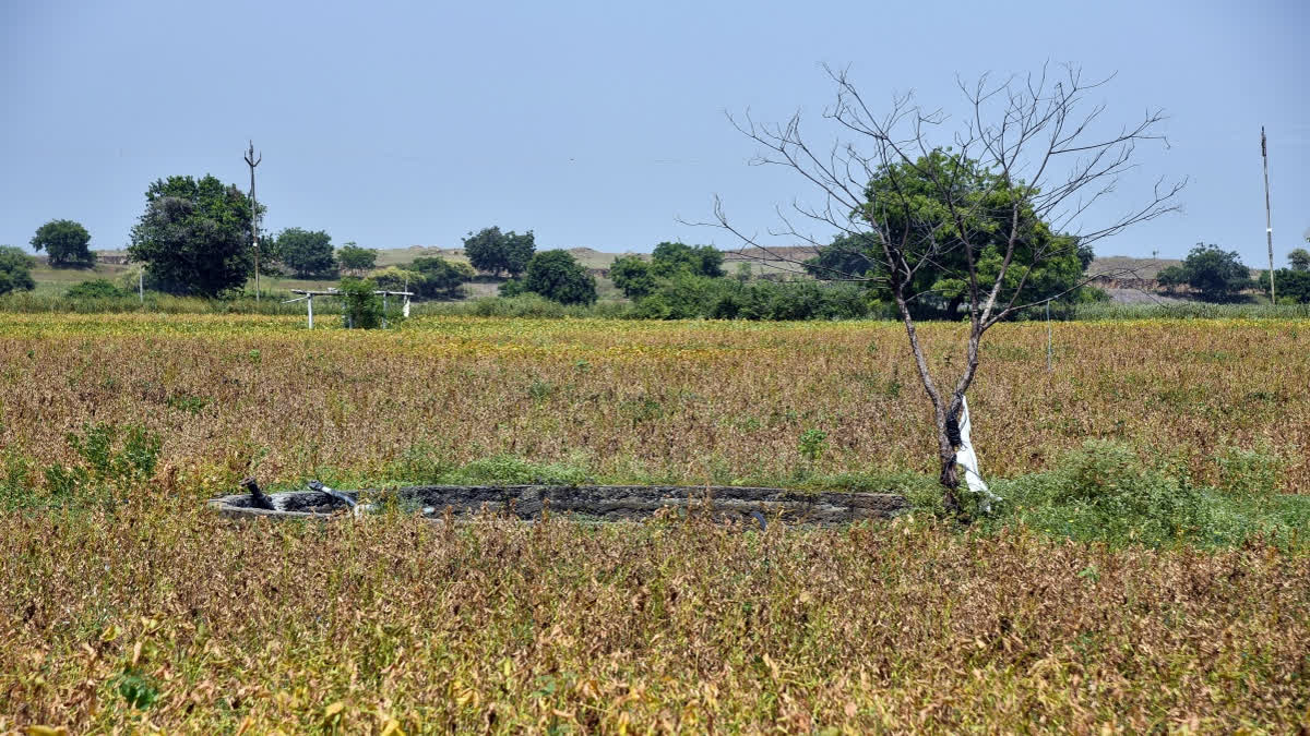 Maharashtra Imposes 10% Water Cut Across All Local Bodies Amid Monsoon Deficit