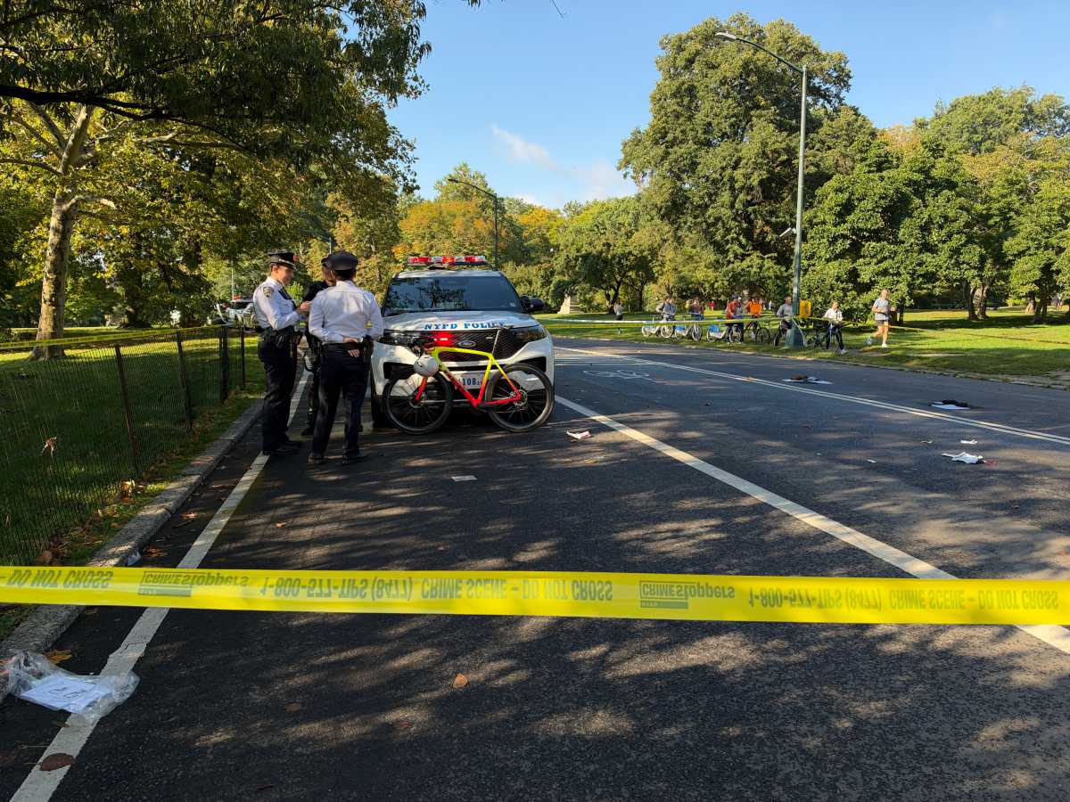Cyclist Dies After Colliding With Off-Leash Dog in Central Park