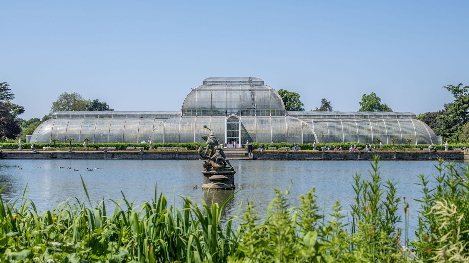 Kew Gardens launches a public appeal for the historic Palm House renovation.