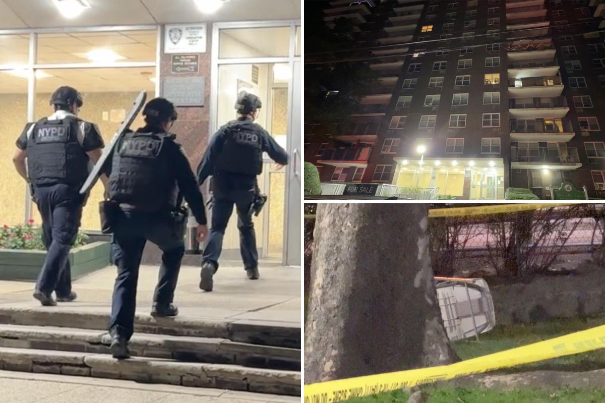 Woman Dies and Baby Critically Injured After Fall From Bronx Balcony