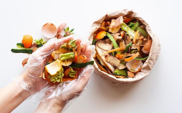 Retailers and Communities Worldwide Implement Strategies to Combat Growing Food Waste