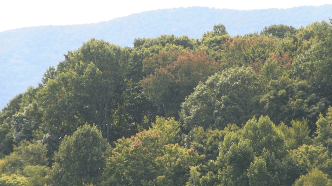Fall foliage returns to typical schedules across regions amid varied autumn weather patterns.