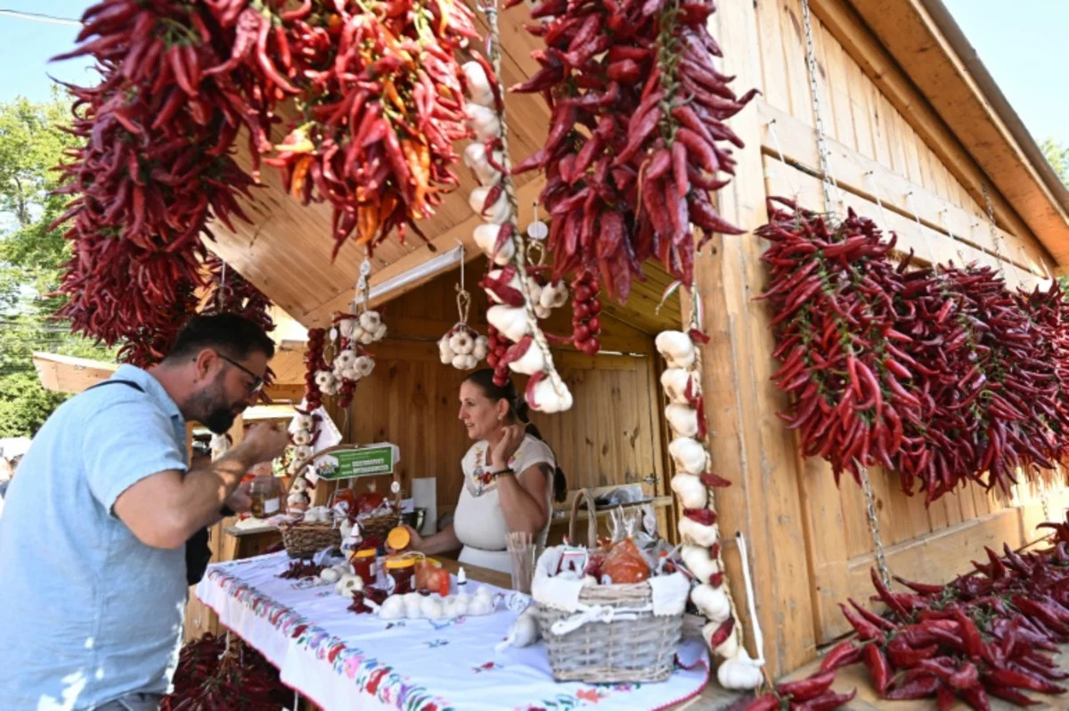 Hungary’s traditional paprika farming shrinks amid severe drought and cheap imports