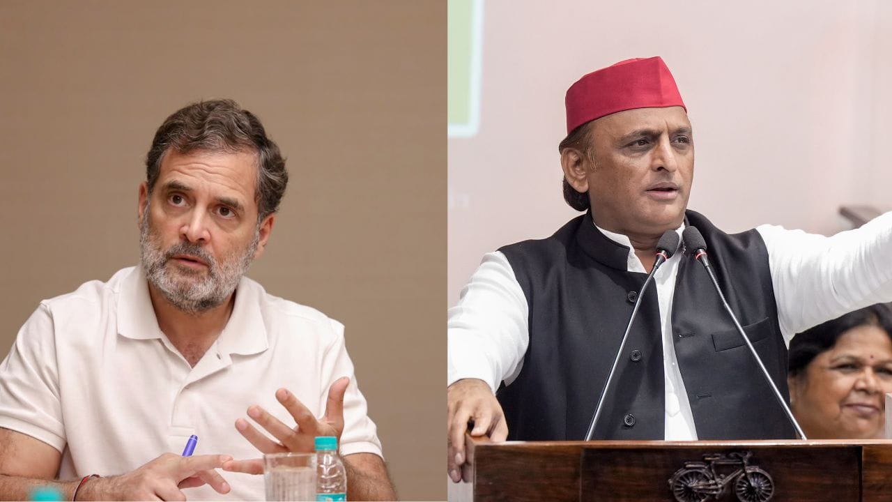 Samajwadi Party MP Claims Congress Relied Entirely on Alliance for UP Success