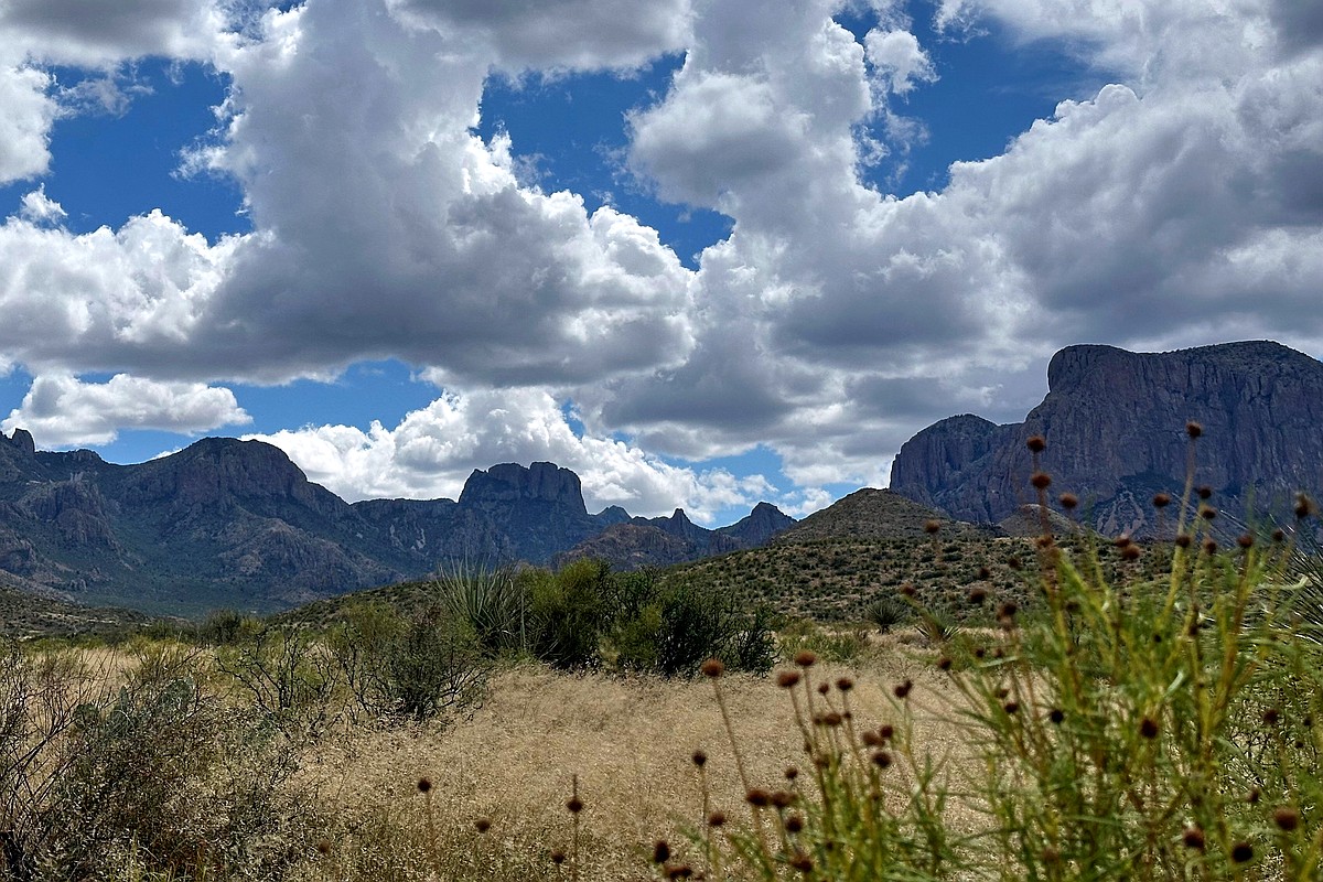 Customs and Border Protection Considers Scaling Back Border Wall Construction at Big Bend National Park