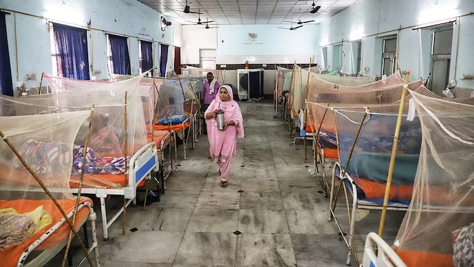 Delhi records 98 new dengue cases in the first week of October, bringing the total to 695.