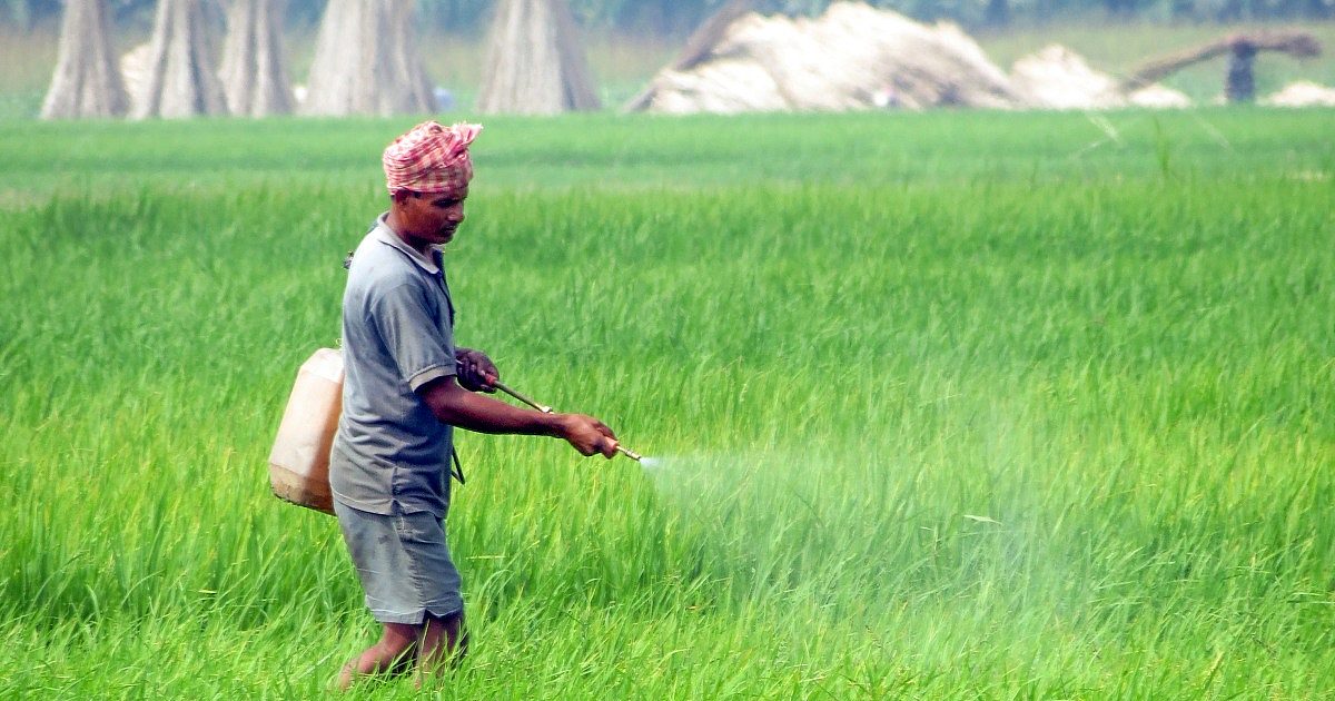 India Warns El Niño May Threaten Winter Rabi Crops Amid Growing Moisture Concerns