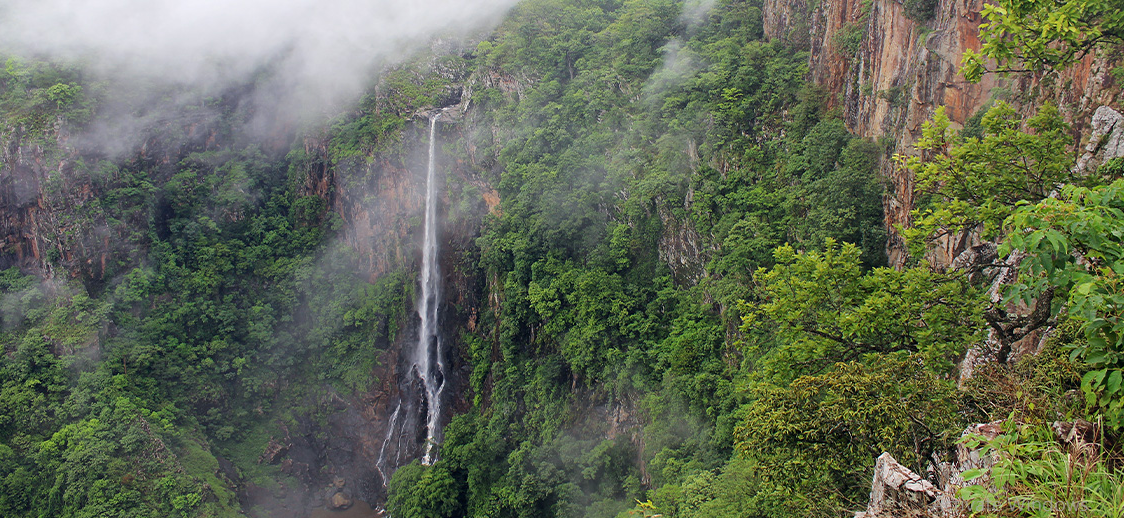 Odisha launches research grant and adds surveillance cameras to Similipal Tiger Reserve.