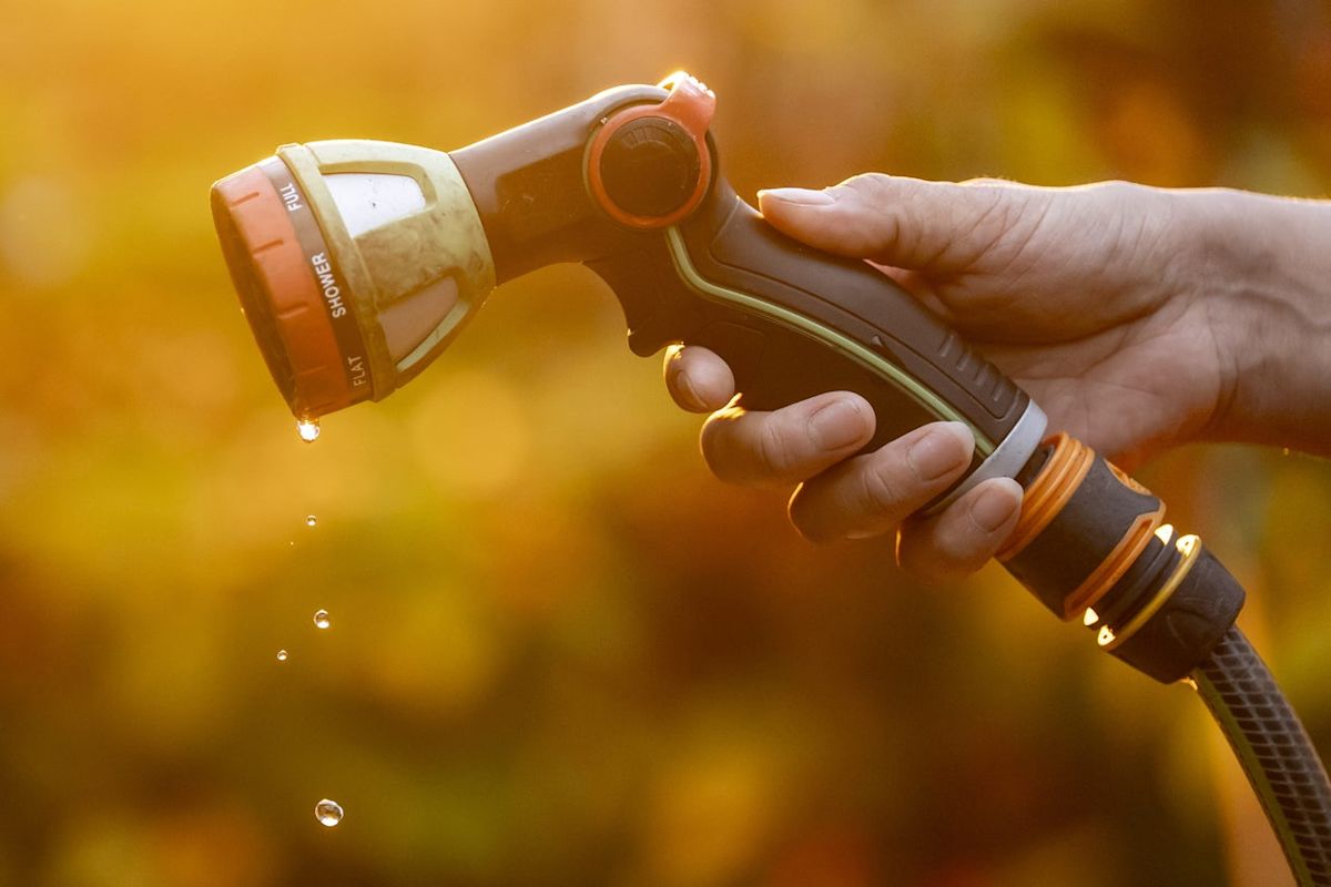 South East Water extends hosepipe restrictions to vulnerable customers amid severe drought conditions.