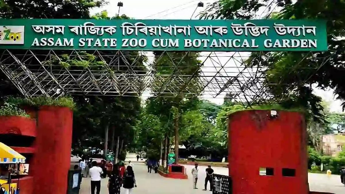 Assam State Zoo Undergoes Massive Rs 340 Crore Redevelopment for Wildlife Tourism