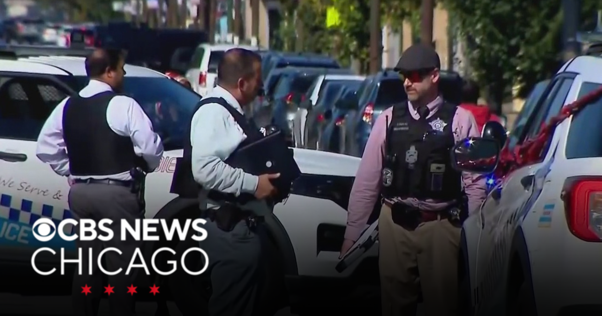 Seven-Year-Old Girl Fatally Stabbed While Walking in Chicago